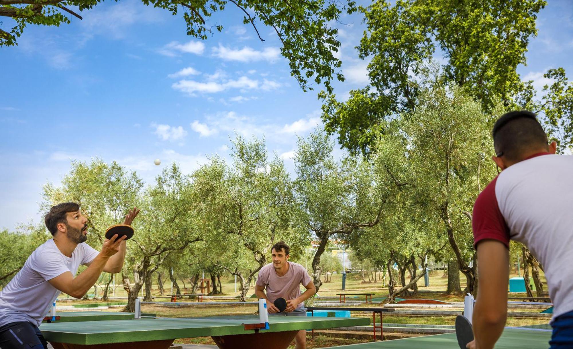 Aminess Planet Camping Maravea Resort - Pitches Novigrad Istria Extérieur photo